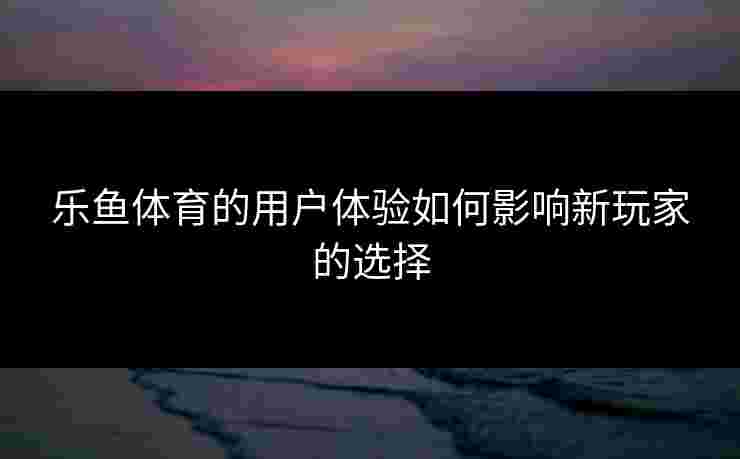 乐鱼体育的用户体验如何影响新玩家的选择