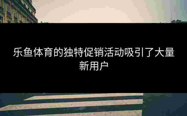 乐鱼体育的独特促销活动吸引了大量新用户