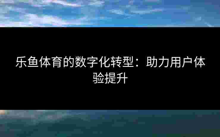 乐鱼体育的数字化转型：助力用户体验提升