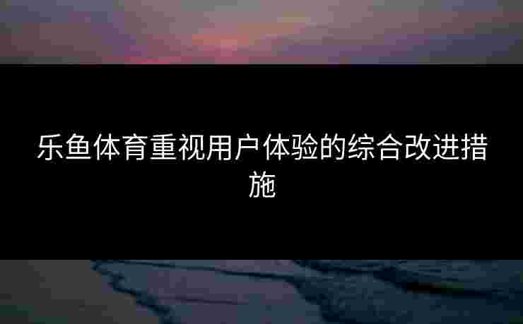 乐鱼体育重视用户体验的综合改进措施